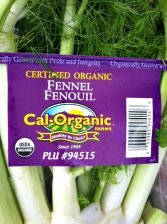 Fennel....A great digestive herb Fennel....A great digestive herb