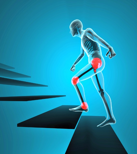 Dos áreas comunes para Puntos Fibromyalgia disparador que pueden interrelacionarse son el área pélvica y luego hacia abajo en el interior de ambas rodillas. Dos áreas comunes para Puntos Fibromyalgia disparador que pueden interrelacionarse son el área pélvica y luego hacia abajo en el interior de ambas rodillas.