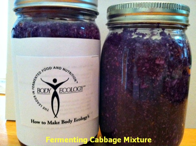 fermenting cabbage mixture