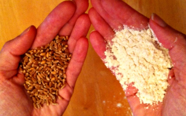 In any diet for fibromyalgia one issue is the difference between grain and grain flours.