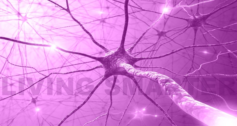 Central Nervous System and Fibromyalgia