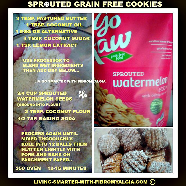 sprouted grain-free cookies