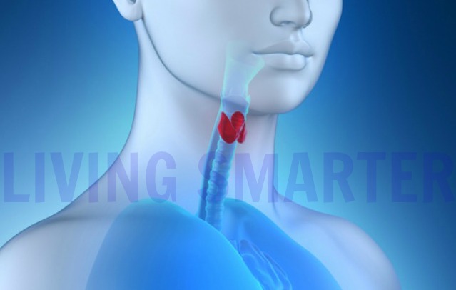 Improving thyroid function