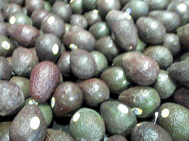 Avocadoes, the healthy raw fat of champions.