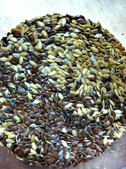 Blonde or Brunette Flax Seeds