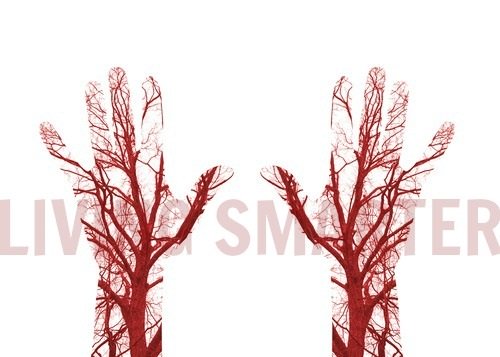 Trigger Points and Blood Vessels