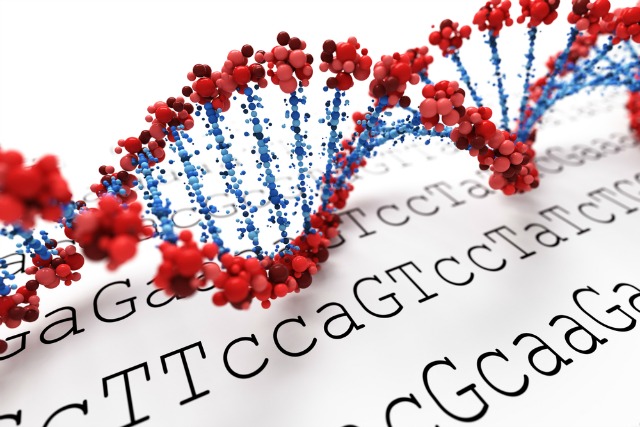 Mindbody Epigenetics studies how certain molecules called “markers” affect how the DNA in our cells is read.