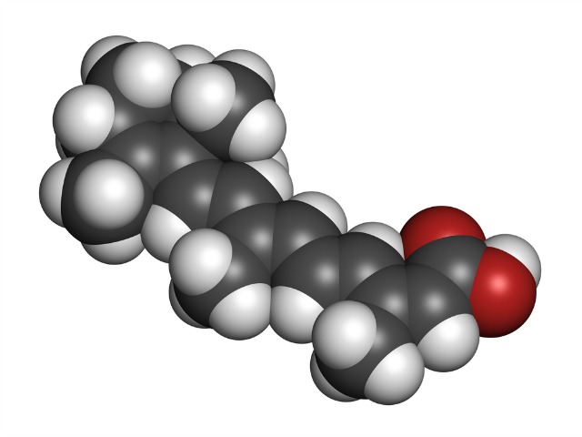 Mindbody epigenetics pass DNA modifying “markers” to subsequent unborn generations  resulting from traumas in our ancestors lives. Studied examples are observers of 9/11 and victims of the holocaust.