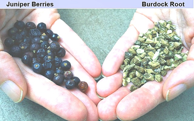 There are a few herbal remedies that can support chronic pain management for the lymphatic system. Two of these are Juniper Berries and Burdock Root.