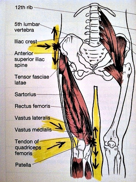 Fibromyalgia Lower Body Pain