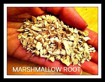 One remedy for Irritable Bowel Syndrome is Marshmallow Root in the form of tea. This root is very soothing to the mucous membranes, GI tract and urinary tract.