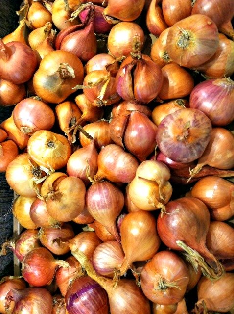 I love using shallots. They are even better tasting than regular onions.