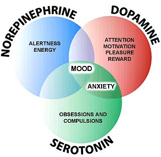 Any treatment for fibromyalgiia must include the neurochemicals in our brains.