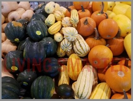 Winter Squash